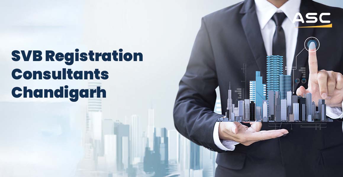 SVB Customs Registration Consultants Chandigarh